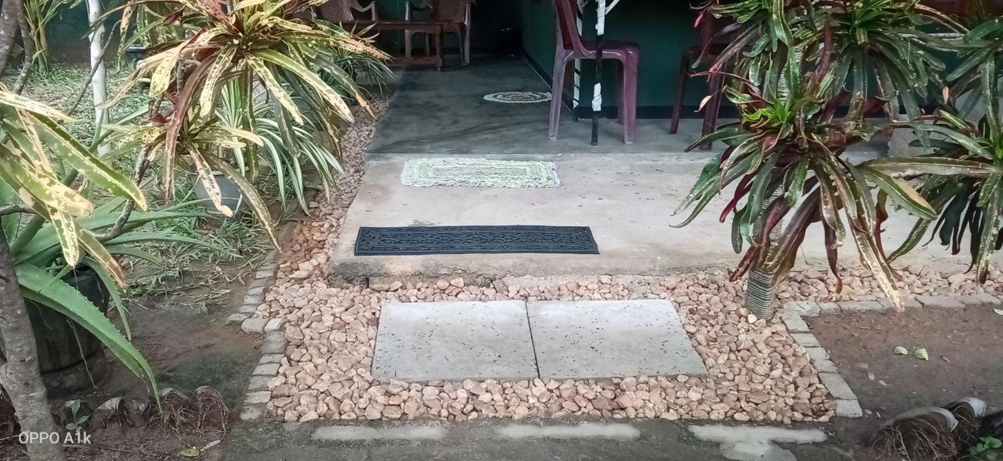 Green House Yala كيريندا المظهر الخارجي الصورة