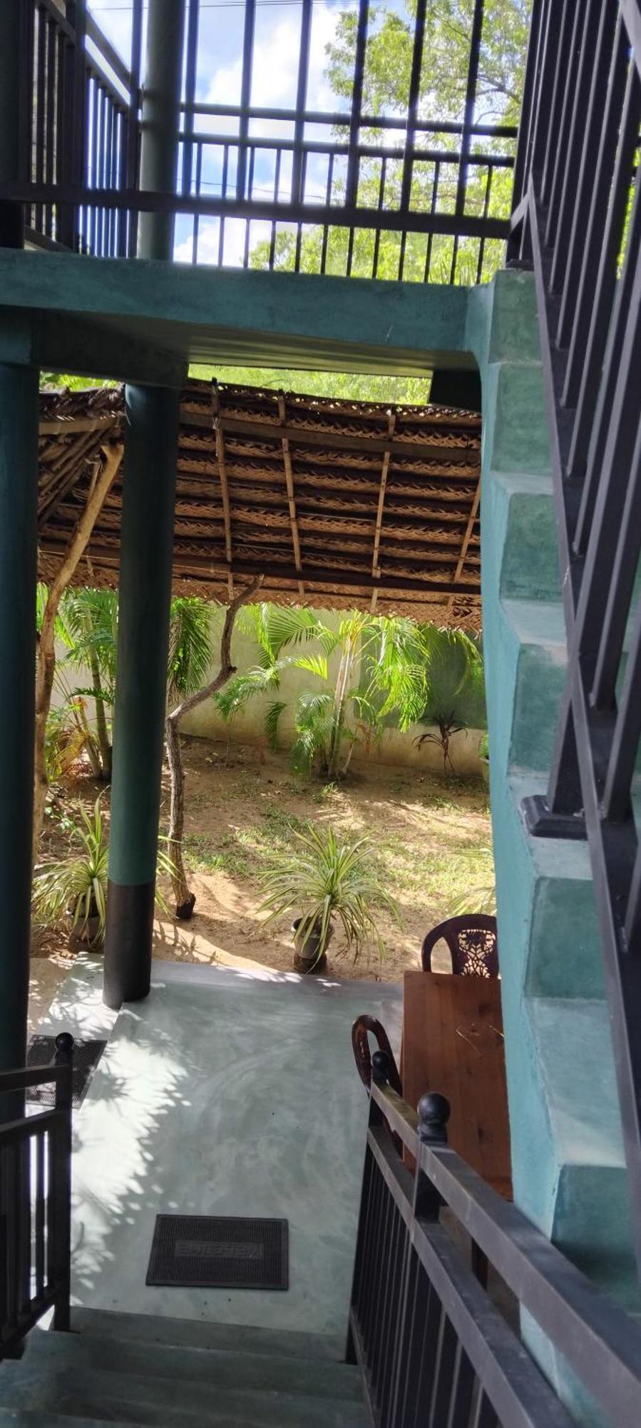 Green House Yala كيريندا المظهر الخارجي الصورة
